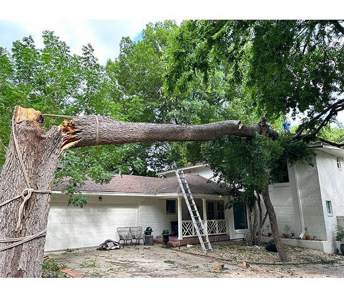 Fallen Tree on Home in Dallas