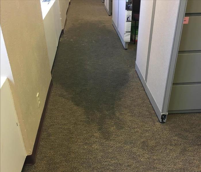 Wet carpets in an office.