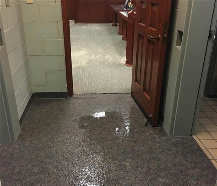 Standing water on carpets.